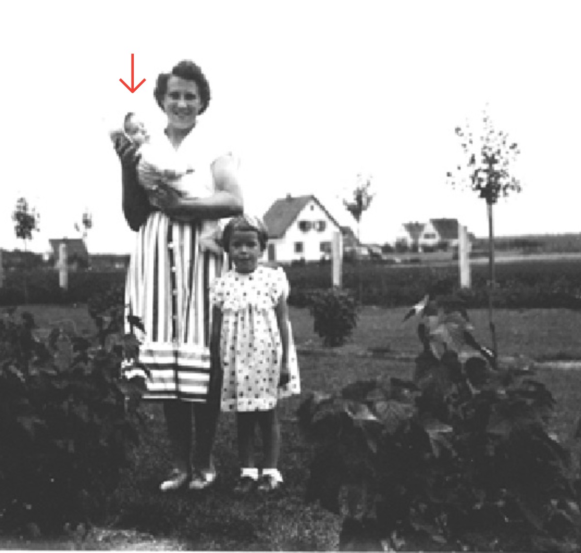Historisches Foto im Apfelgarten